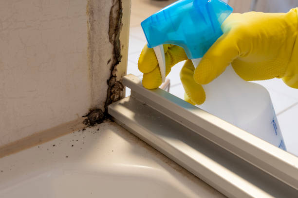 Best Mold Cleaning Services  in Waycross, GA