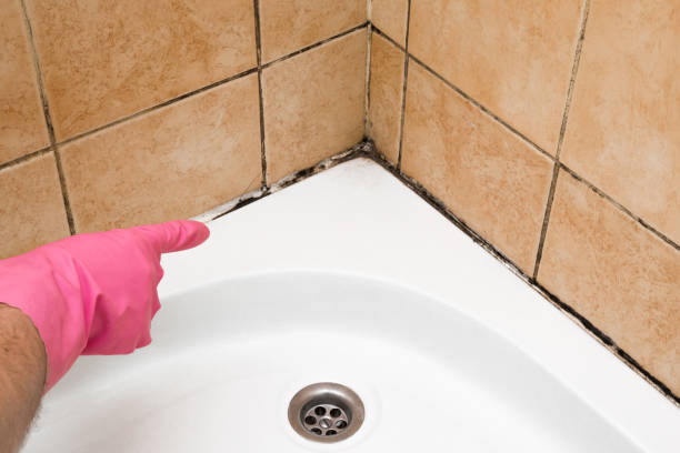 Best Office Mold Removal Services  in Waycross, GA